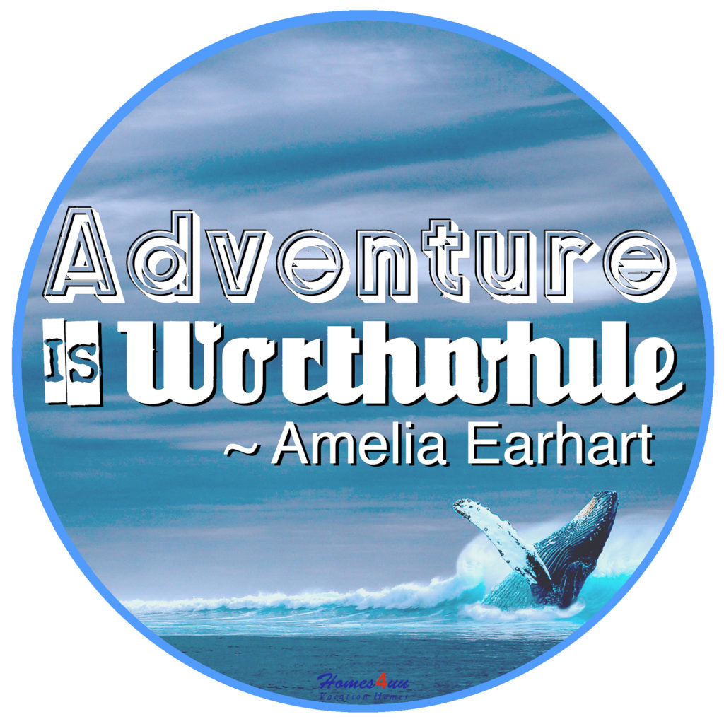 Adventure is Worthwhile